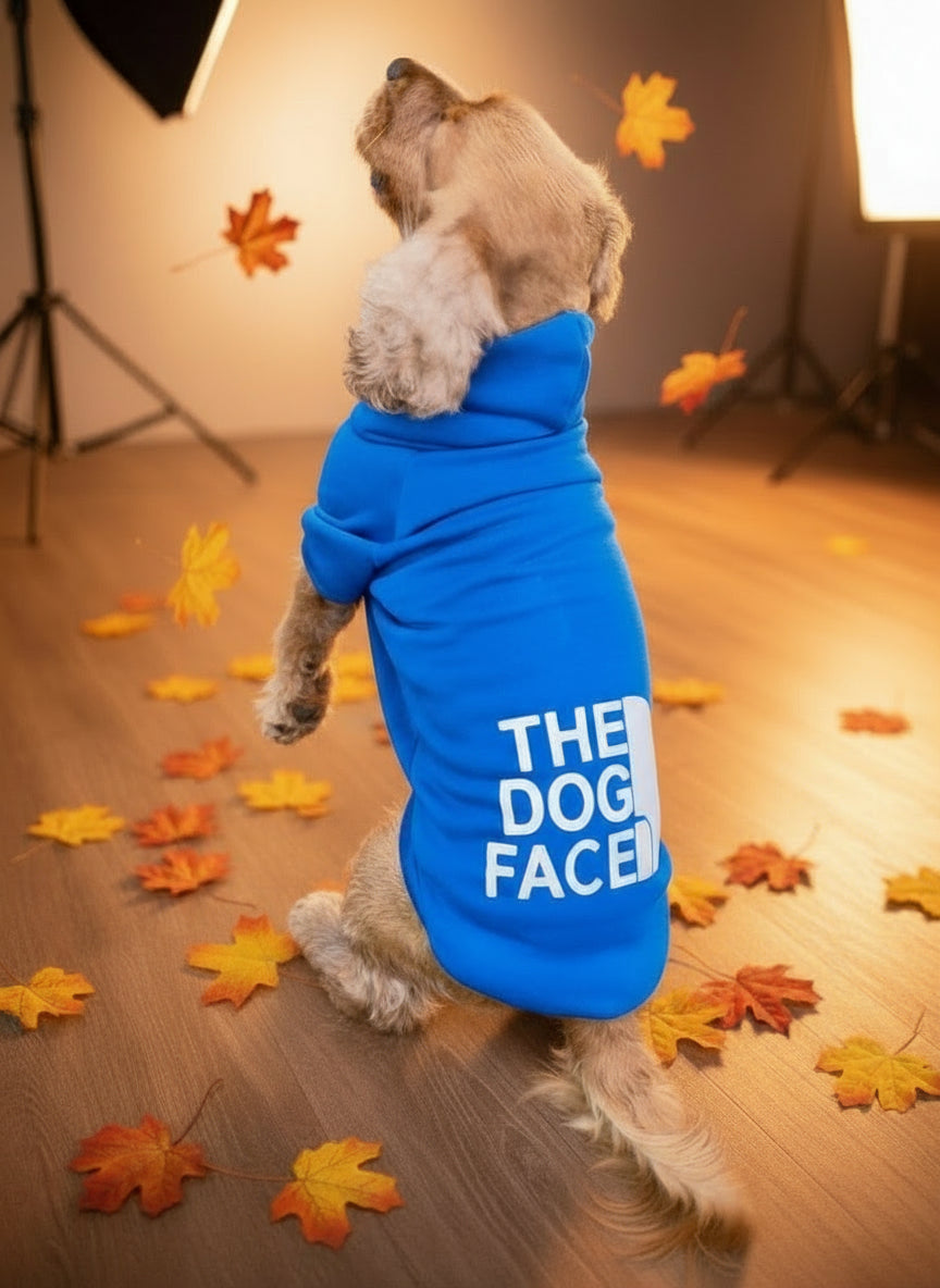 Dog wearing a blue hoodie with 'THE DOG FACE' text in studio with autumn leaves
