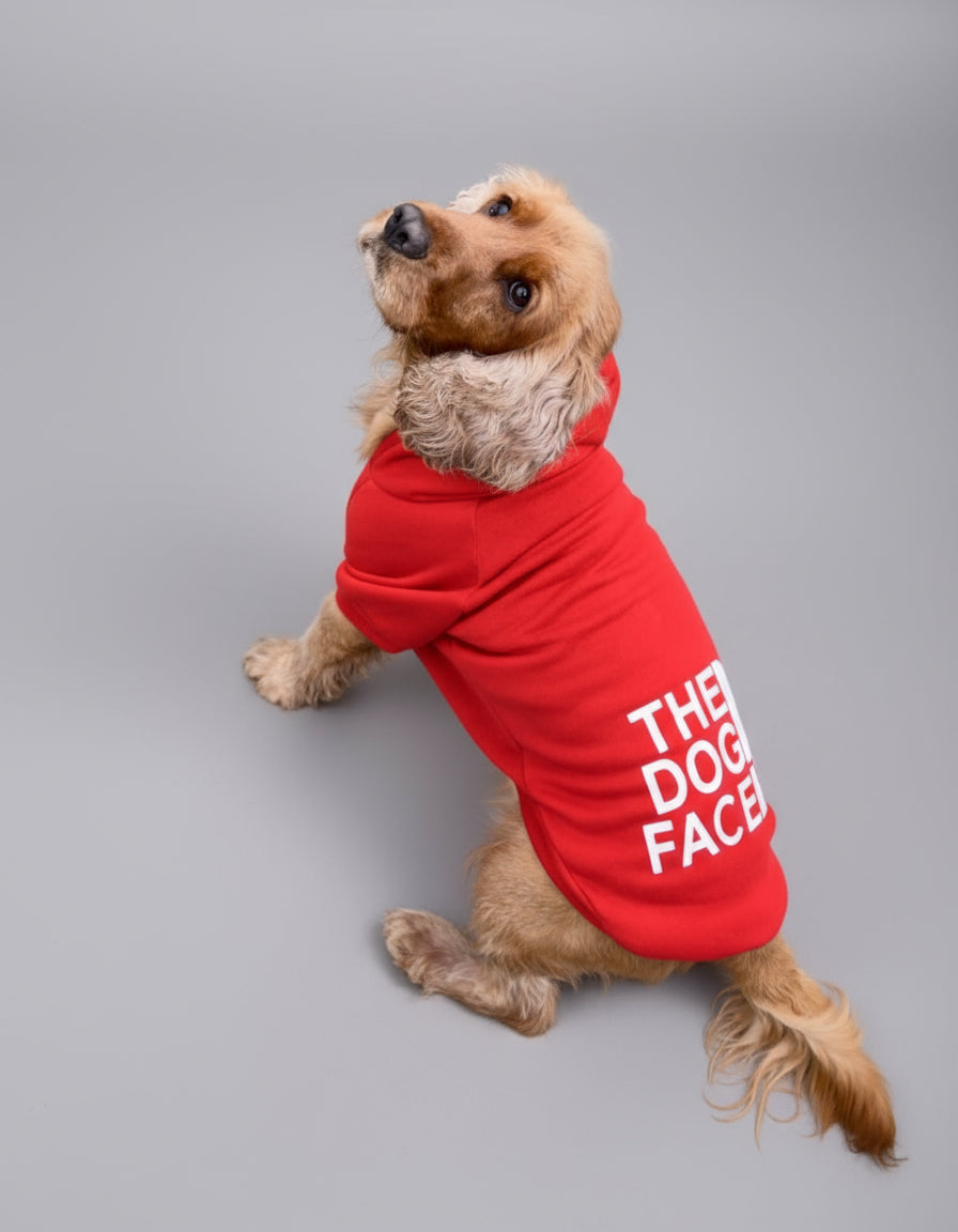 Dog wearing a red hoodie with 'The Dog Face' logo 
