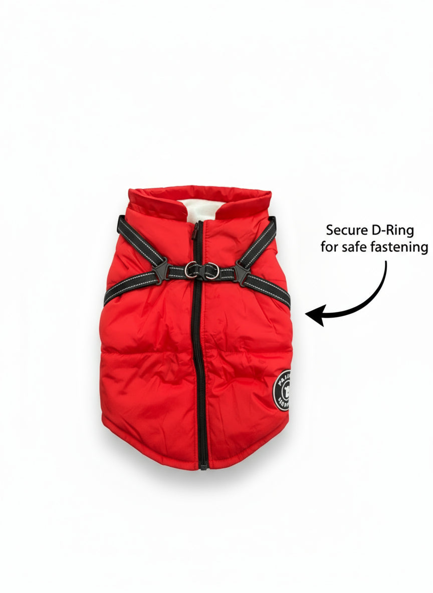 close up of red dog jacket with integrated harness