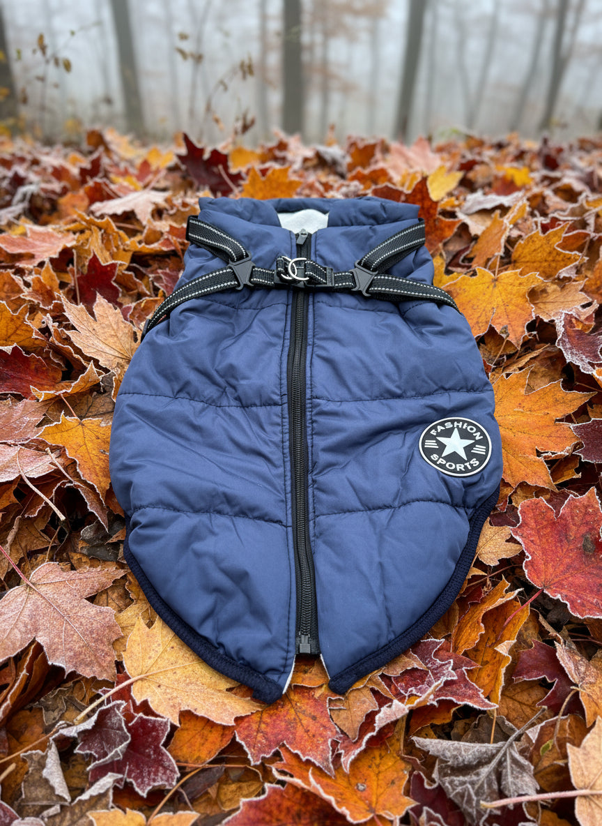 close up of blue dog jacket with integrated harness