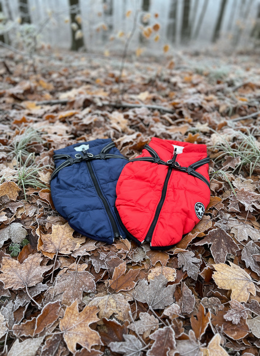 Two dog coats, one blue and one red, with reflective integrated harness
