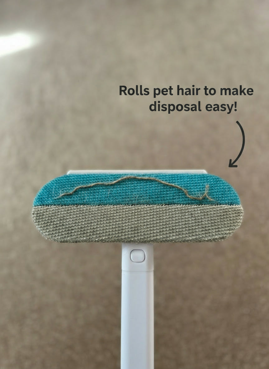 Cleaning tool with blue and gray head on a carpeted floor