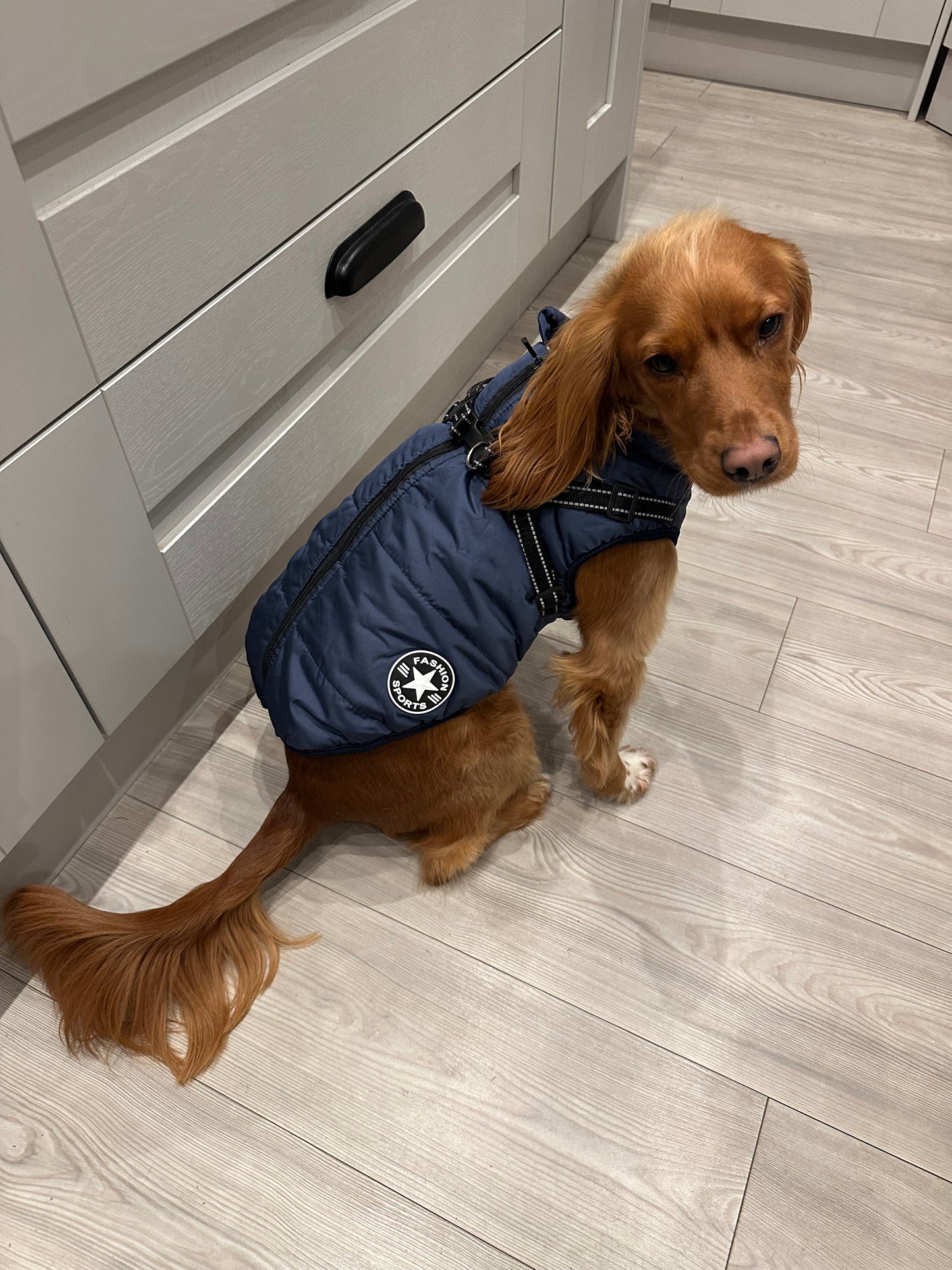 Waterproof Winter Dog Coat with Reflective Harness