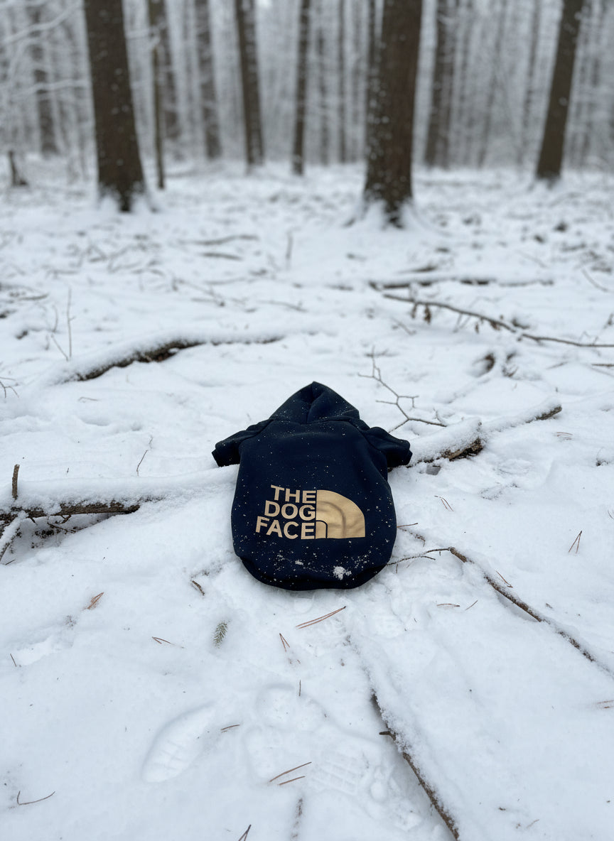 black and gold dog hoodie, dog clothes, lying in a snow covered forest