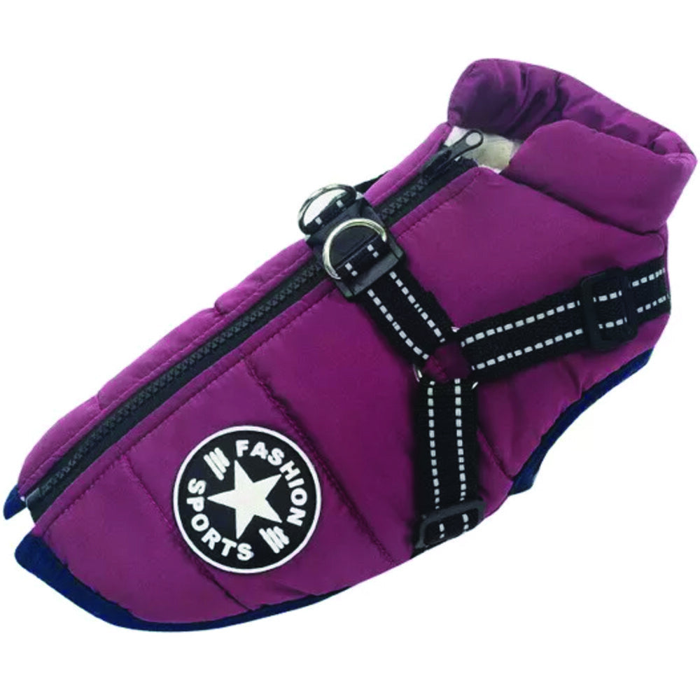 purple dog jacket with reflective integrated harness