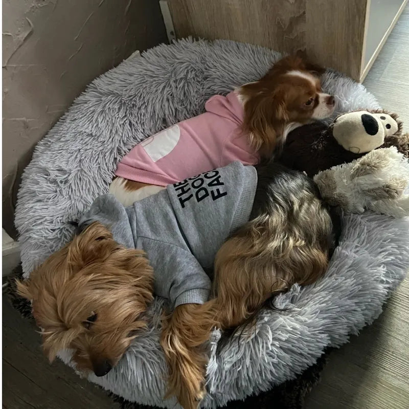 two dogs cuddling in a comfy bed wearing the dog face hoodies