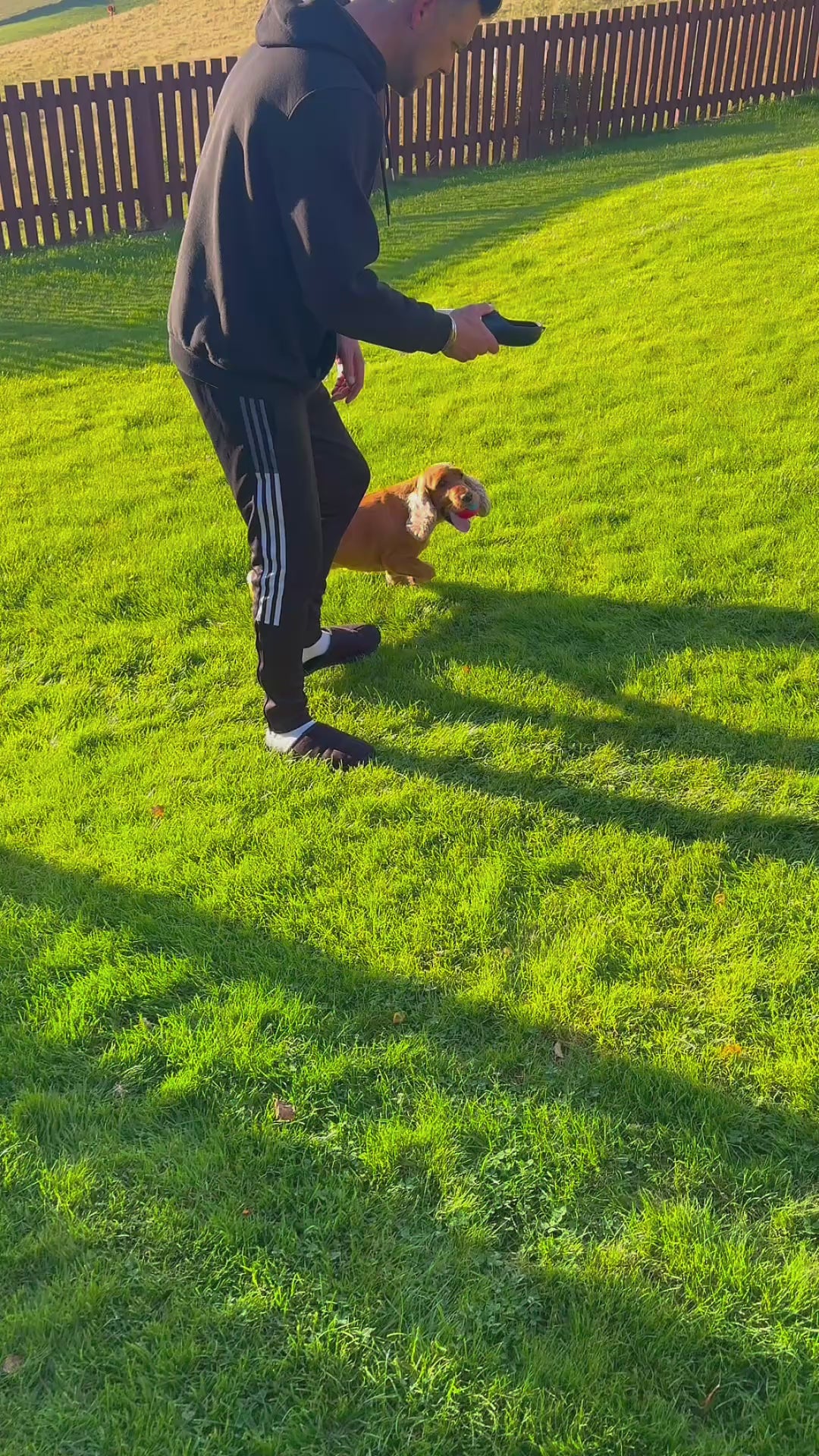 video showing dog on grassy field drinking from pet water bottle
