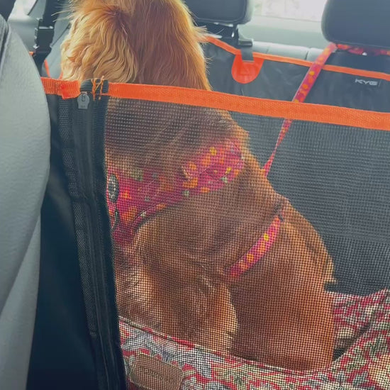 video of a dog in a car seat cover in a moving car